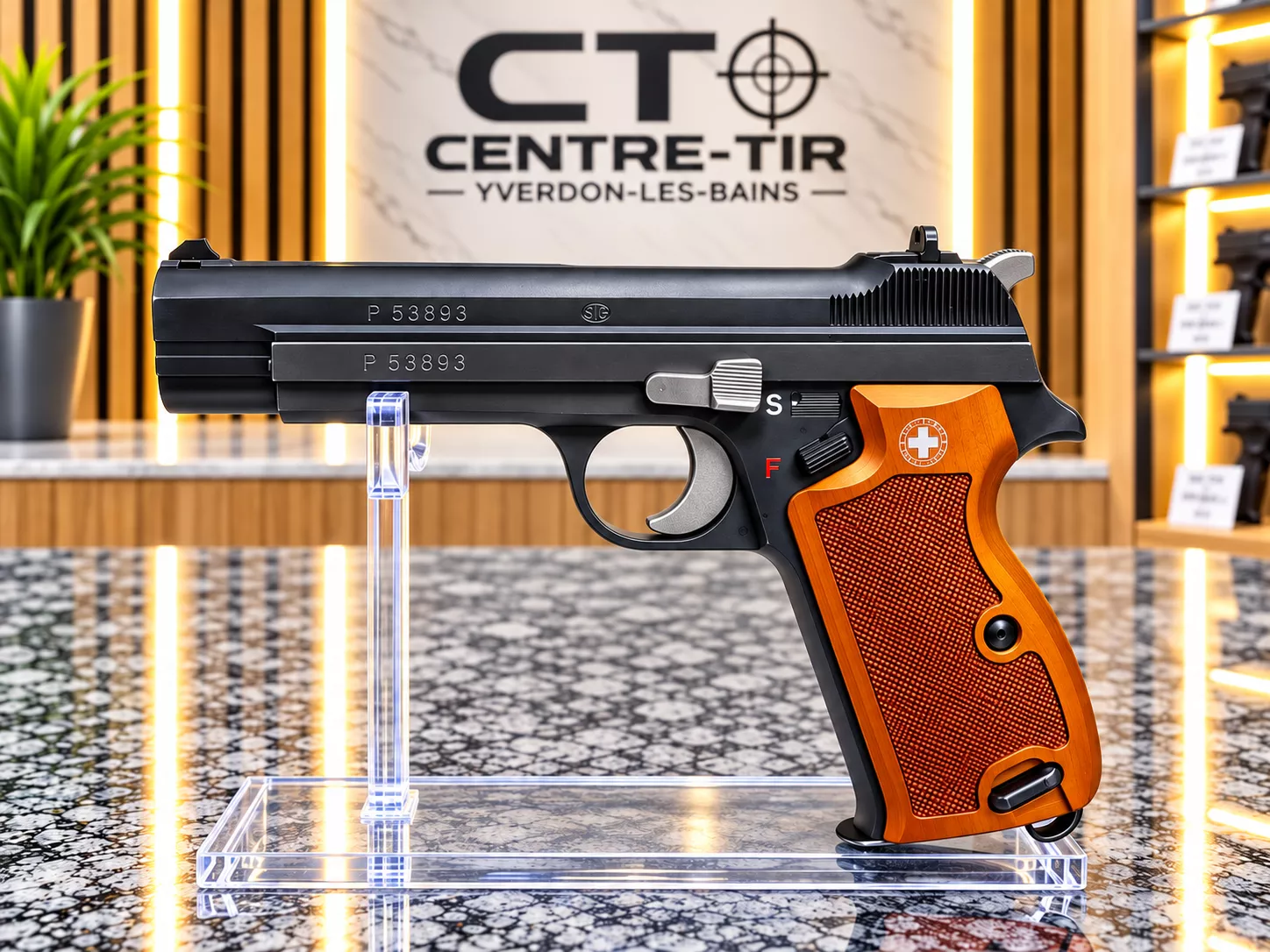 SIG P-210-2 9x19 avec Etui en cuir